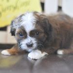 Penelope Friedman - @penny_doyle_friedman - Instagram