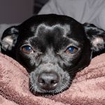 Penny Lane Friedman - @pennylanefriedman - Instagram
