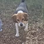 Penny M Funk - @pfunk_512 - Instagram