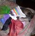 Penny Fearman - Facebook
