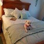 Penny Garner - @penny_garner - Instagram