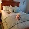 Penny Garner - @penny.garner8 - TikTok