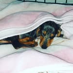 ava penny geddes - @avapennygeddes - Instagram