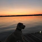 Penny Gentry - @cade_the_doodle - Instagram
