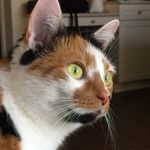 Penny Grace Gentry - @misspennygrace - Instagram