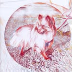 Stephanie Dekorsi - @penny_german_kleinspitz - Instagram