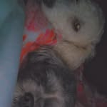 penny and ginger - @ginger._.penny - Instagram