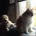 Penny Ginger - @penny_and_ginger - Instagram