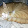 penny ginger - @penny.ginger - TikTok