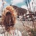 Penelope Glover - Facebook