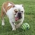 Penny Glover - Facebook