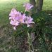 Penny Glover - Facebook