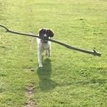 Penny Goff - @goff.penny - Instagram