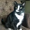PB - @pennyshackettbarr - TikTok