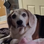 Penny Hackett - @hackettpenny - Instagram