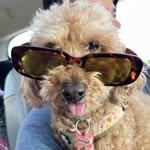 Penny Hagerman - @pennyhagerman_ - Instagram