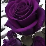 Penny Hall - Facebook