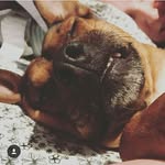 Penny Hamm - @penny_hamm - Instagram