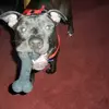 Penny Hammonds451 - @pennyhammonds3 - TikTok