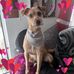 Penny Harding - Facebook