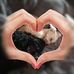 Penny Harding - Facebook