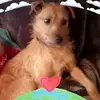 Penny Harding - @penny.harding - TikTok