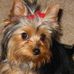 Penny Harding - Facebook