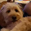 pennyhardiman - @pennyhardiman - TikTok