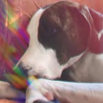 penny hatcher - @penny_hatch2.0 - Instagram