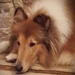 Penny Krause Hatchell - @hatchellpenny - Instagram