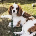 Penny Lane Hatch - @penpenhatch - Instagram