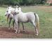 Penny Hatley - Facebook