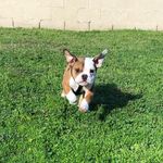 Penny Hawk - @penny_hawk - Instagram