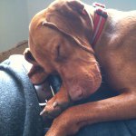 Penny Head - @penny_head_ - Instagram