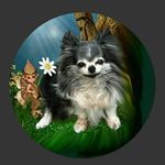 Penny Head - @pennyhead17 - Instagram