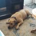 Penny Head - Facebook
