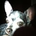 Penny Helms - Facebook