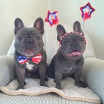 Henry & Penny - @henryandpenny - Instagram