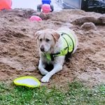 Penny Kort Henry - @penny.henry.1848 - Instagram