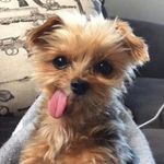 Penny Herrera - @itz_penny_bae - Instagram