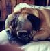Penny Hicks - Facebook