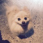 Penny Hicks - @phicks1026 - Instagram