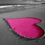 Penny Hicks - @pennyhicks1955 - Instagram