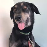 Penelope Hodgekiss - @pennyhodgekiss - Instagram