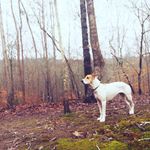 Penny Hodge - @pennifred_hodge - Instagram