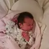 pennyhorner - @pennyhorner8 - TikTok