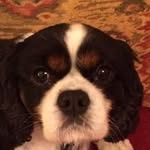 Penny Howells - @penny.howells - Instagram
