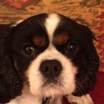 Penny Howells - Facebook