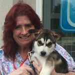 Penny Hubbard - @penny4pets - Instagram