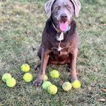 Penny Hudson - @penny_hudson - Instagram